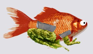 fish-lizard-copy